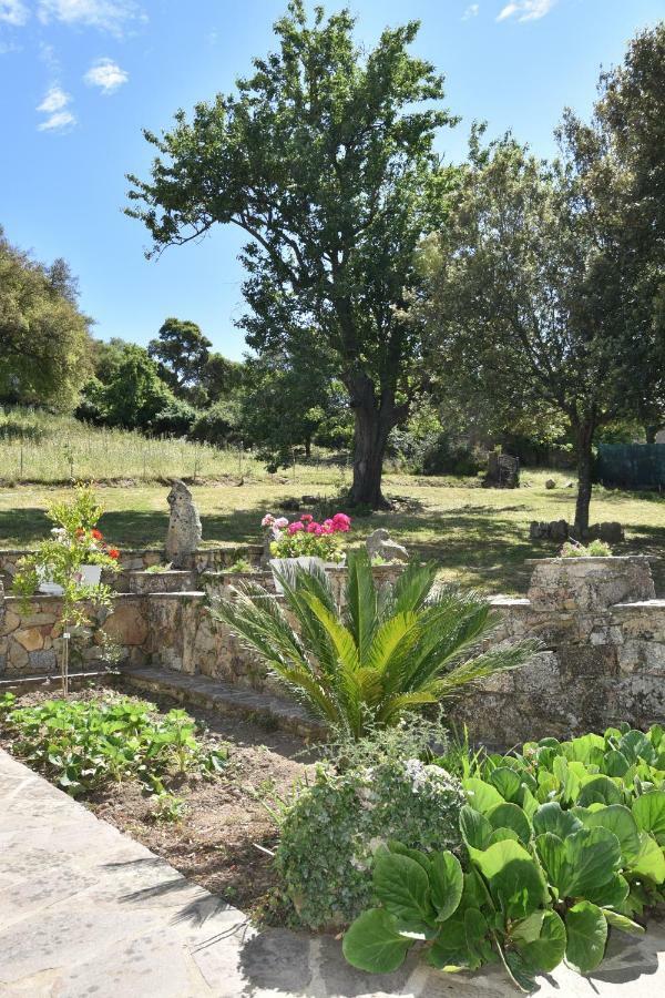 B&B I Menhir Sorgono エクステリア 写真